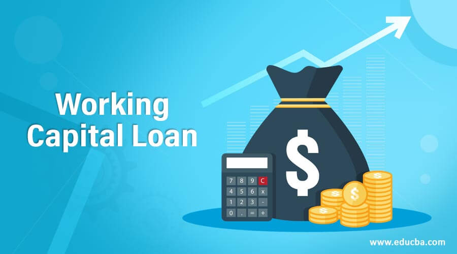 Working Capital Loans For Small Business: Vital Funding For Growth